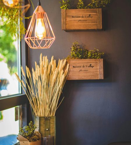 pexels-valeriya-1129413